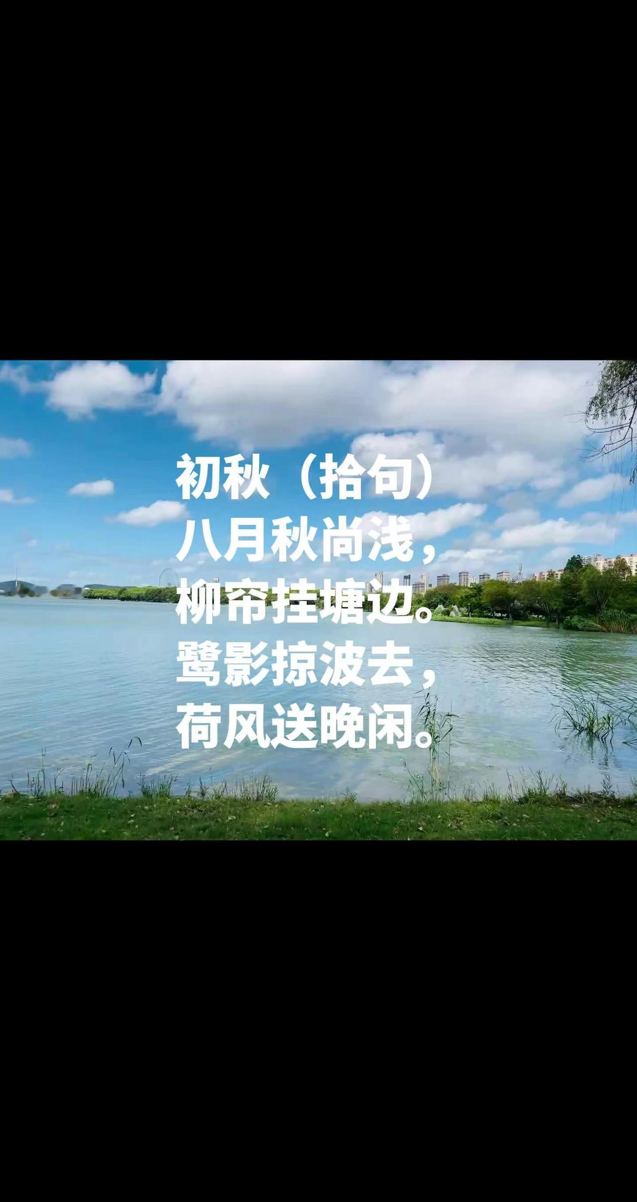 初秋 初秋（拾句）八月秋尚浅，柳帘挂塘边。鹭影掠波去，荷风送晚闲。