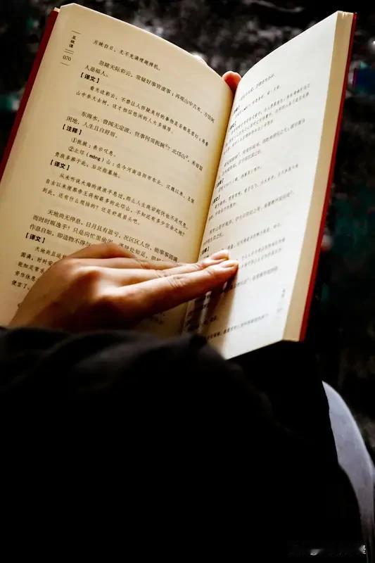 重读梭罗的《瓦尔登湖》，竟读出了不同于以往的沉静力量。书中梭罗在湖畔自建小屋、自