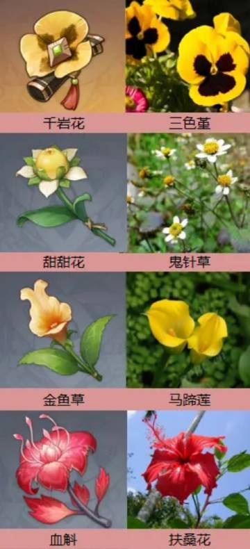原神中那些花，没想到现实中也都存在的！[憧憬]来看看那些是你不知道的吧[doge