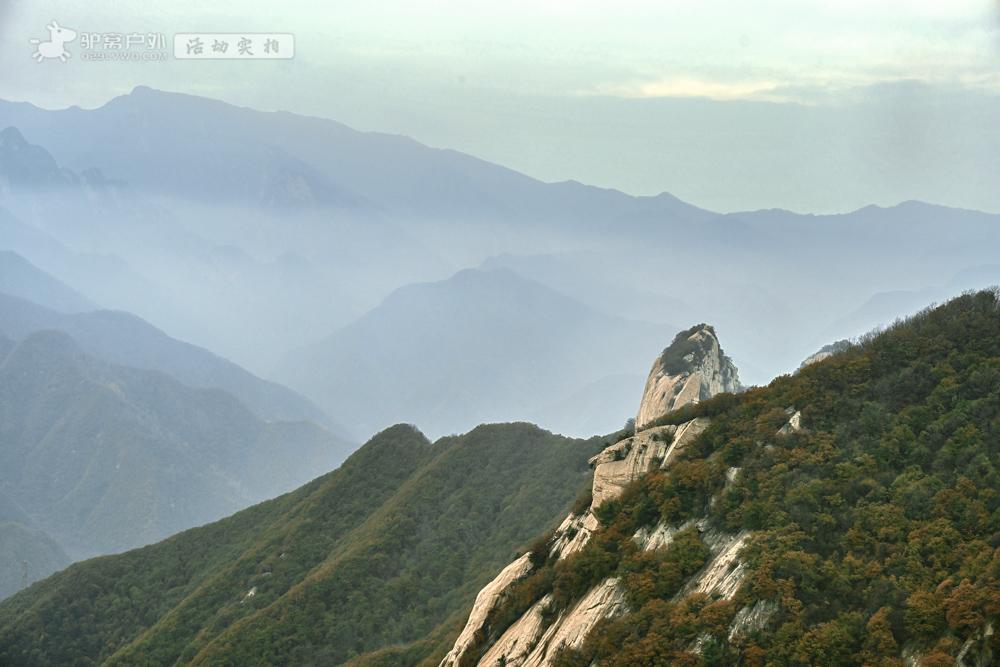 #秋日生活记录#周末跟驴窝登山--秦岭神仙台！这金黄的美景来不及细细欣赏，这秋日