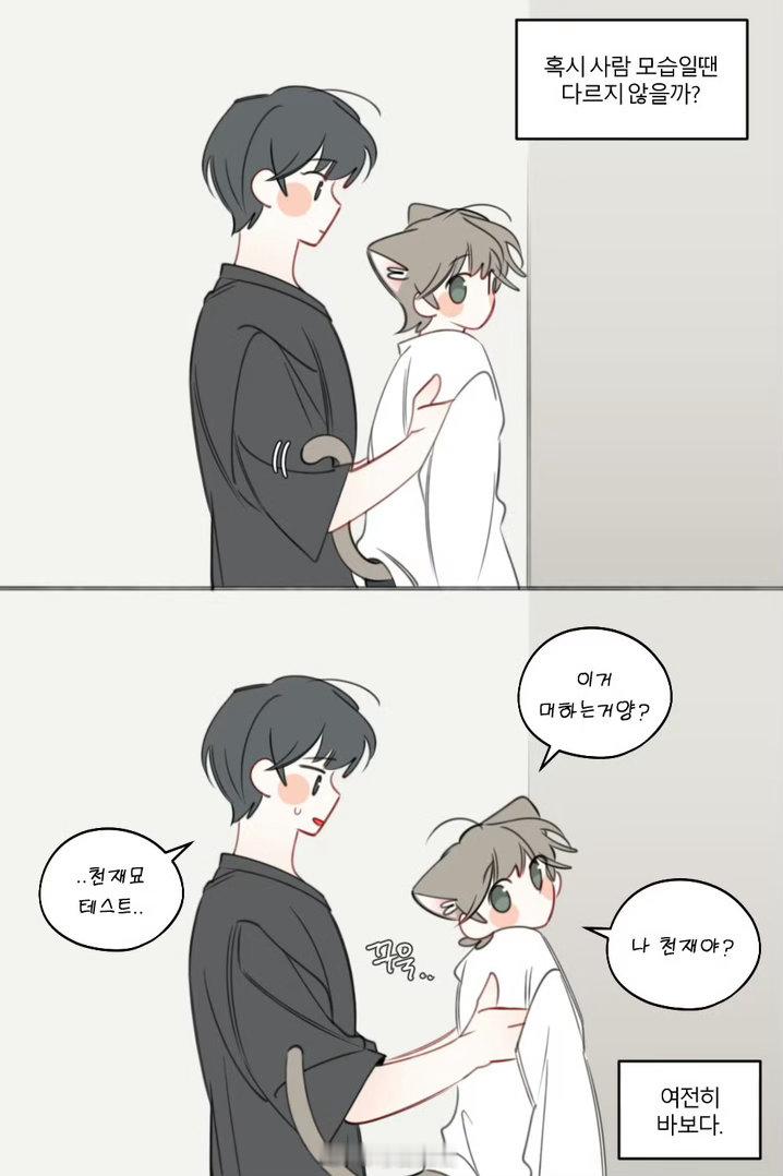 笨蛋猫猫X 🆔blueciho ​​​