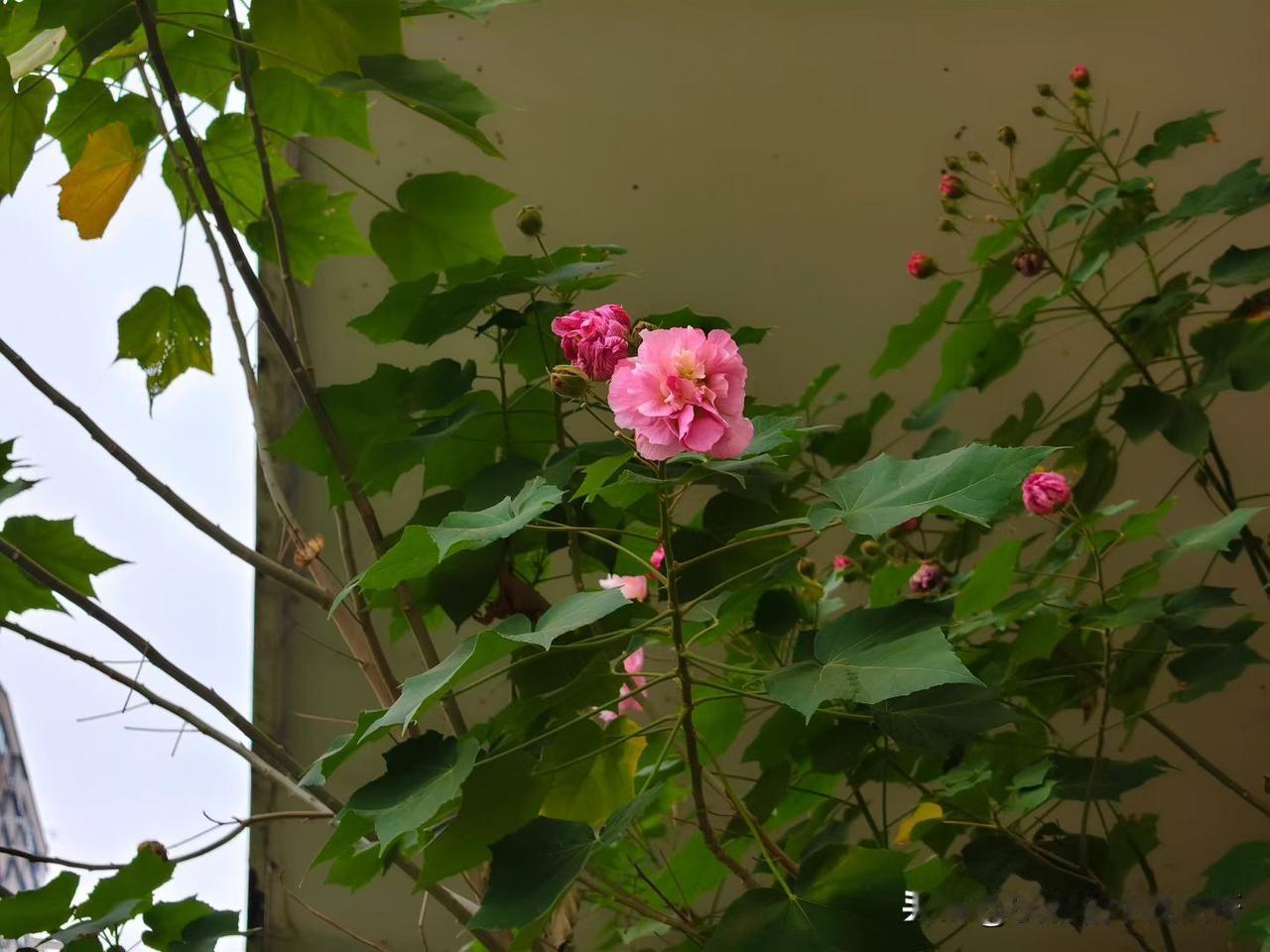 以前我在的公司，每个月四天假，我现在这个公司上班，特小气，特苛刻，每个月两天假，