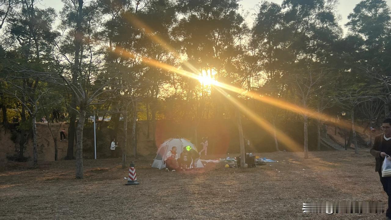 分享一张你们随手拍下的夕阳