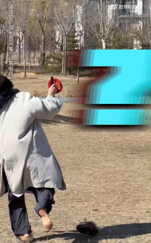 高圆圆分享春日踏青趣事，放飞风筝时欢乐奔跑，连鞋子脱落都浑然不觉，尽显率真本色。