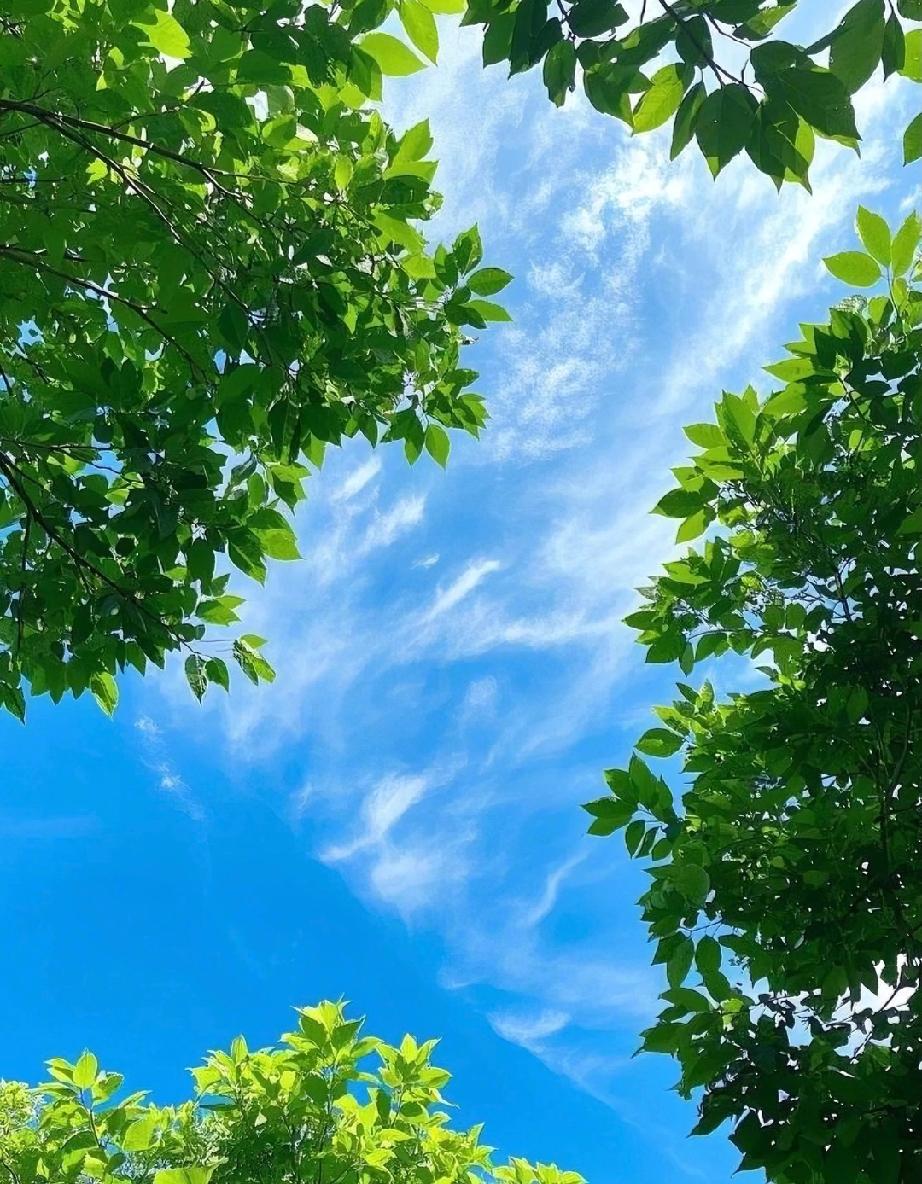 我老公真是一个救世主！

被我老公气到了，一下班回来我老公就说他以前的同事找他借