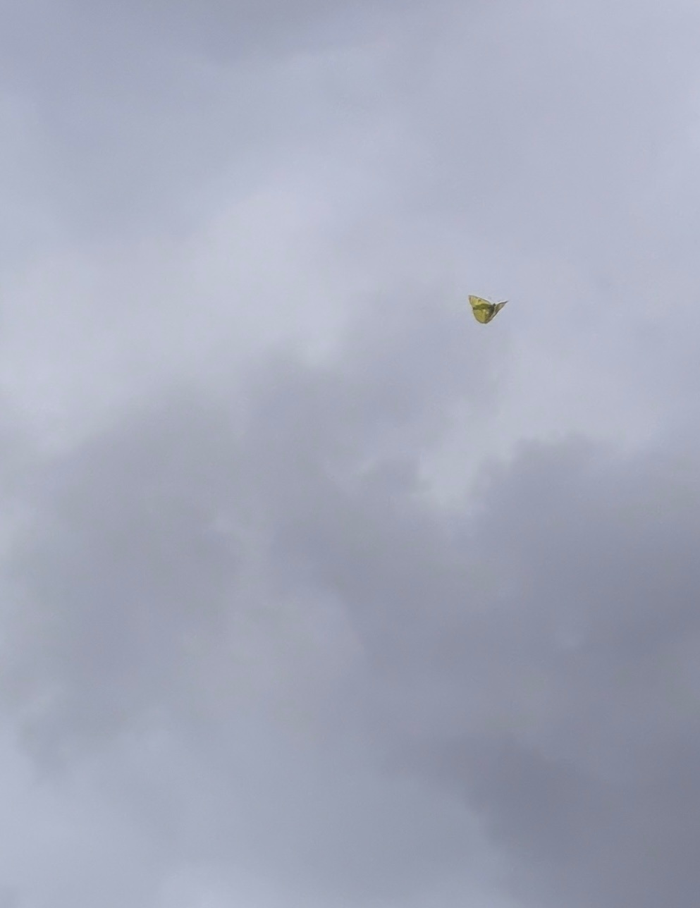 爱是天时地利的迷信 