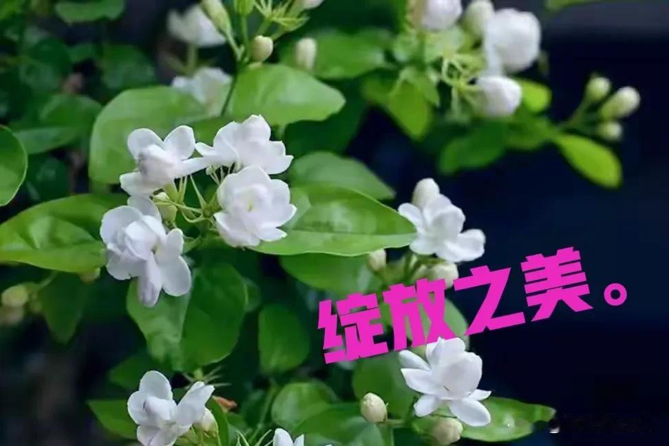 当年滞留农村的女知青，有那么一小部分，他们的命运如何，可圈可点吗？
我的一个堂妹