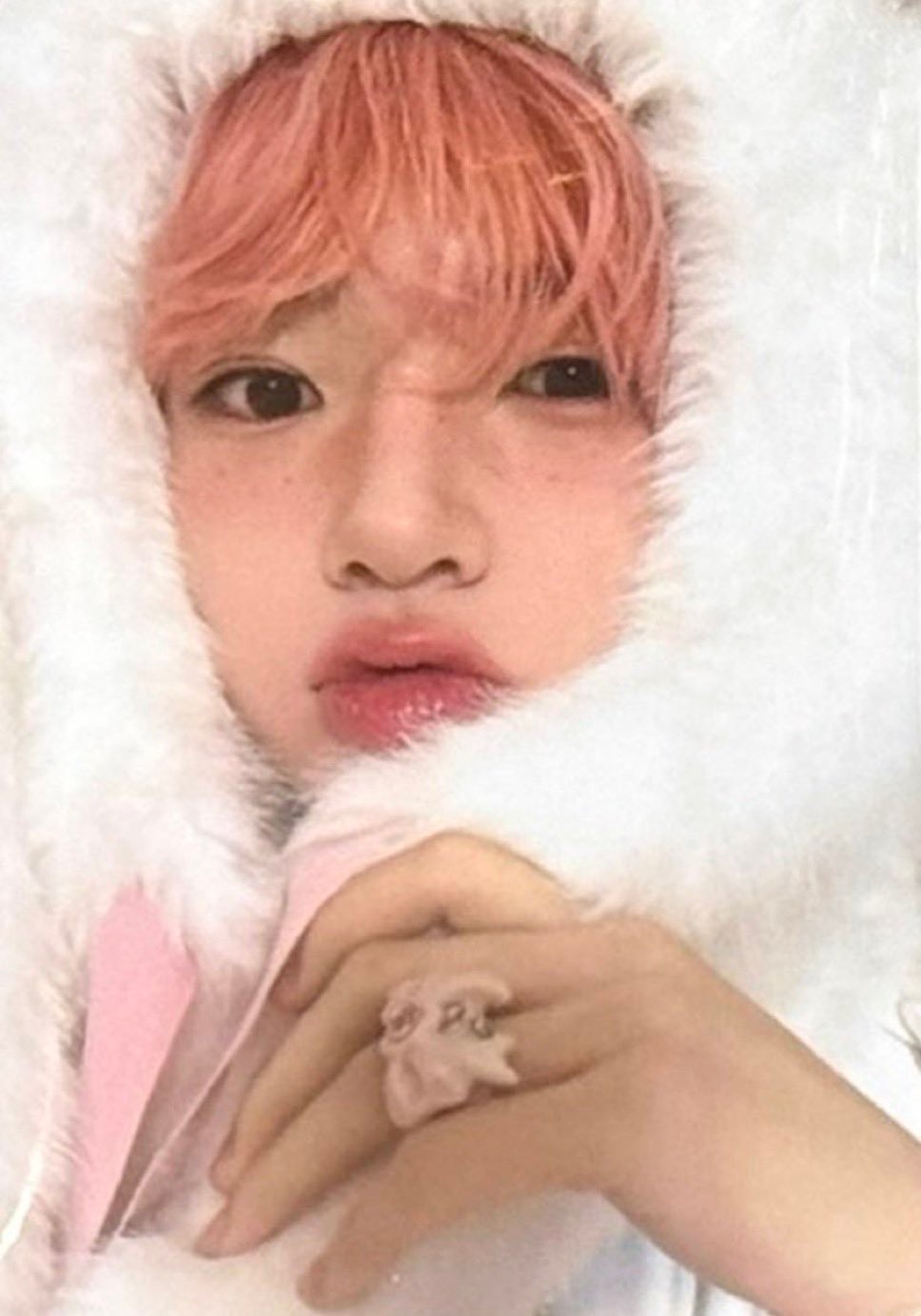 SAKUYA最新小卡，完全小卡天才 