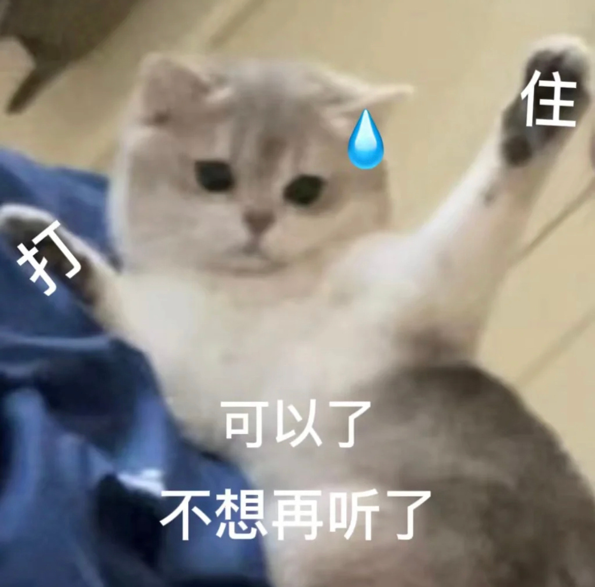 我和苹果派🥧已经幸福者退让了苹果派还是个孩子啊🙀 
