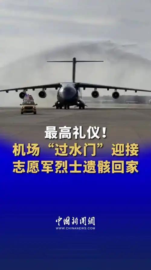 致敬英烈回家

当年举誓跨国门
血染沙场泣鬼神
鲲鹏展翅接傲骨
巨龙长啸慰忠魂