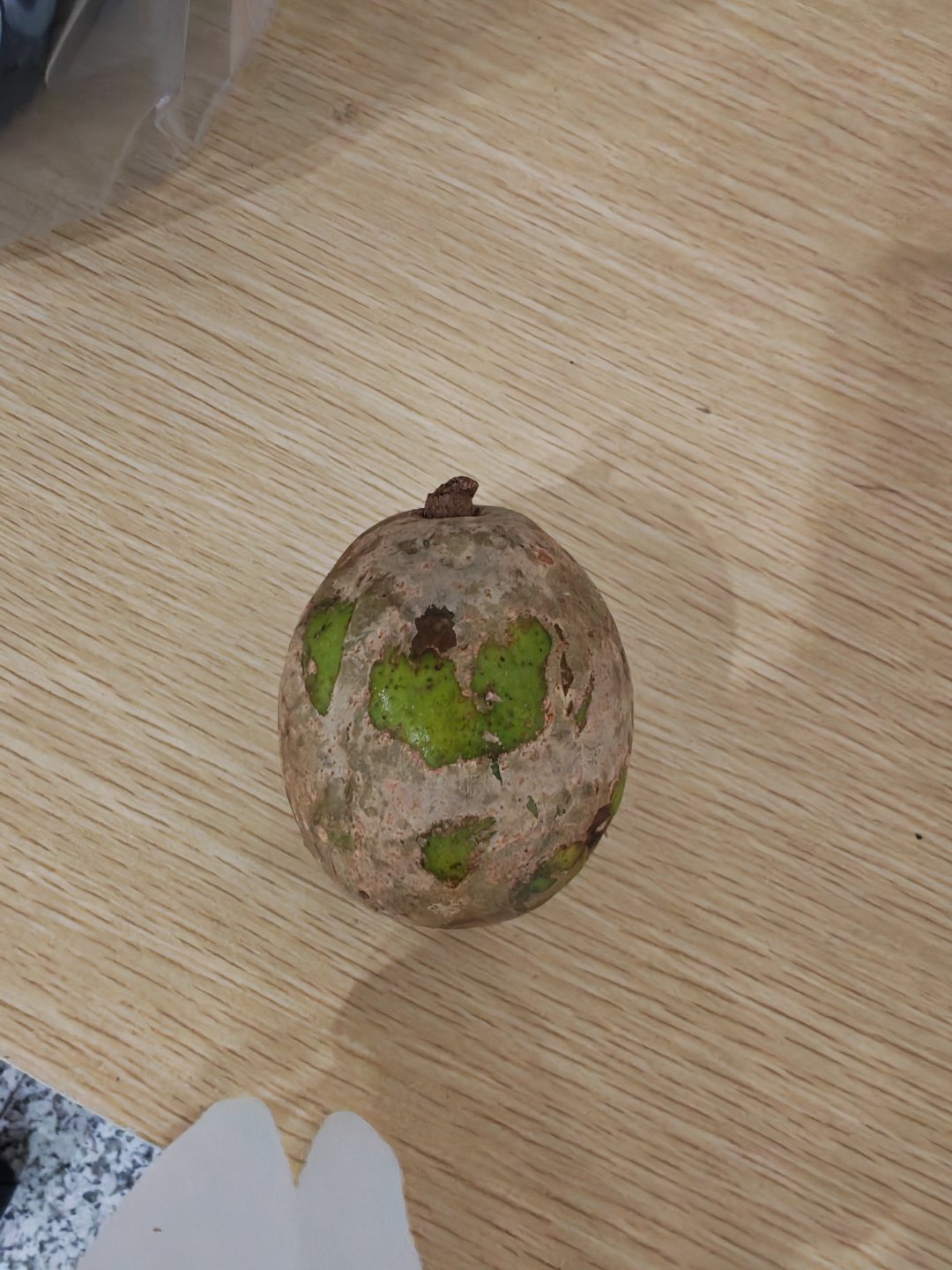 又见识了几种新东西：1，红树林海苹果，学名海桑，千屈菜科2，诺丽果/呕吐果/檄树