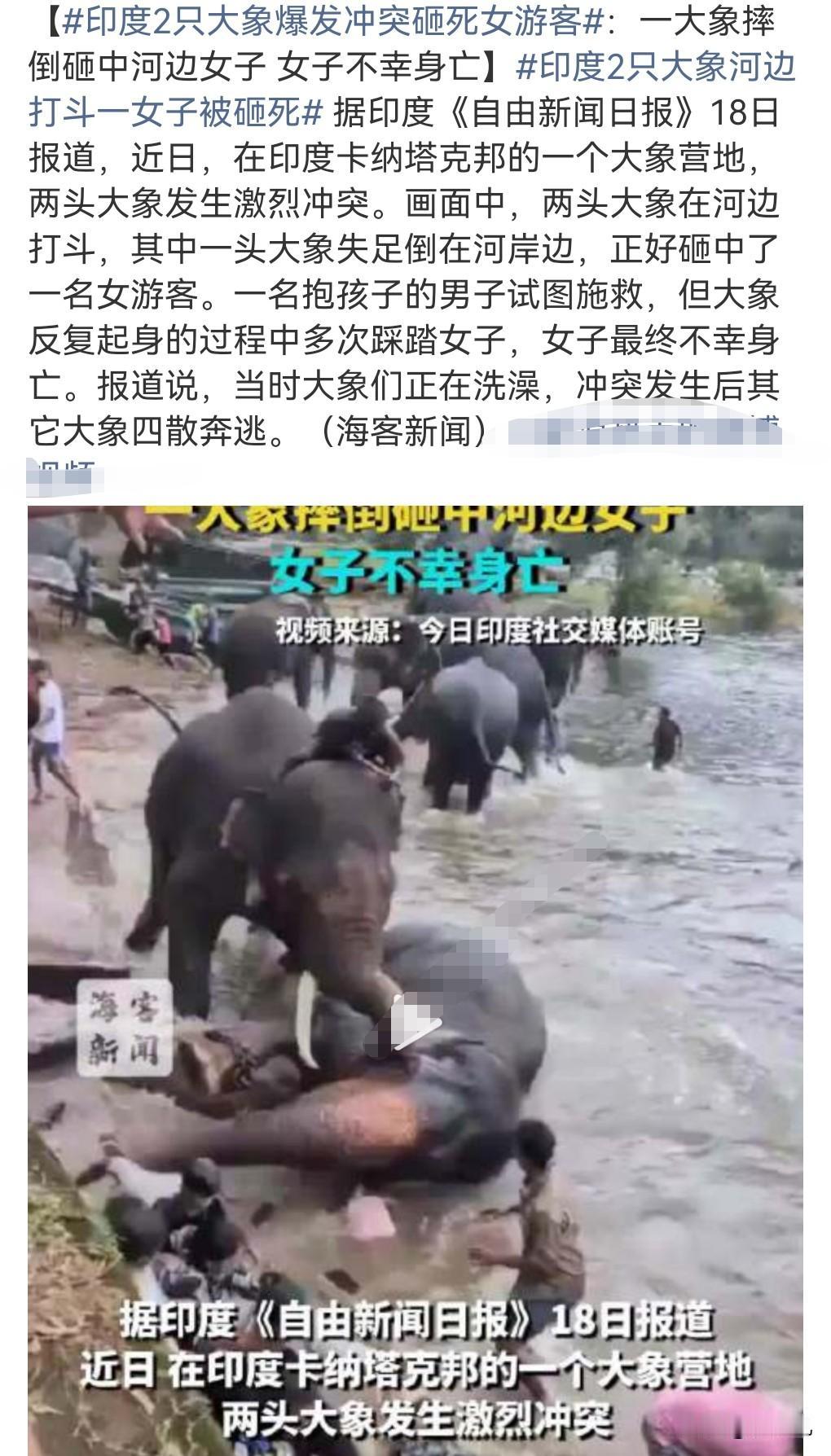 这真是飞来横祸，防不胜防啊。

近日印度两只大象打架，没想到有一只大象砸到了女子