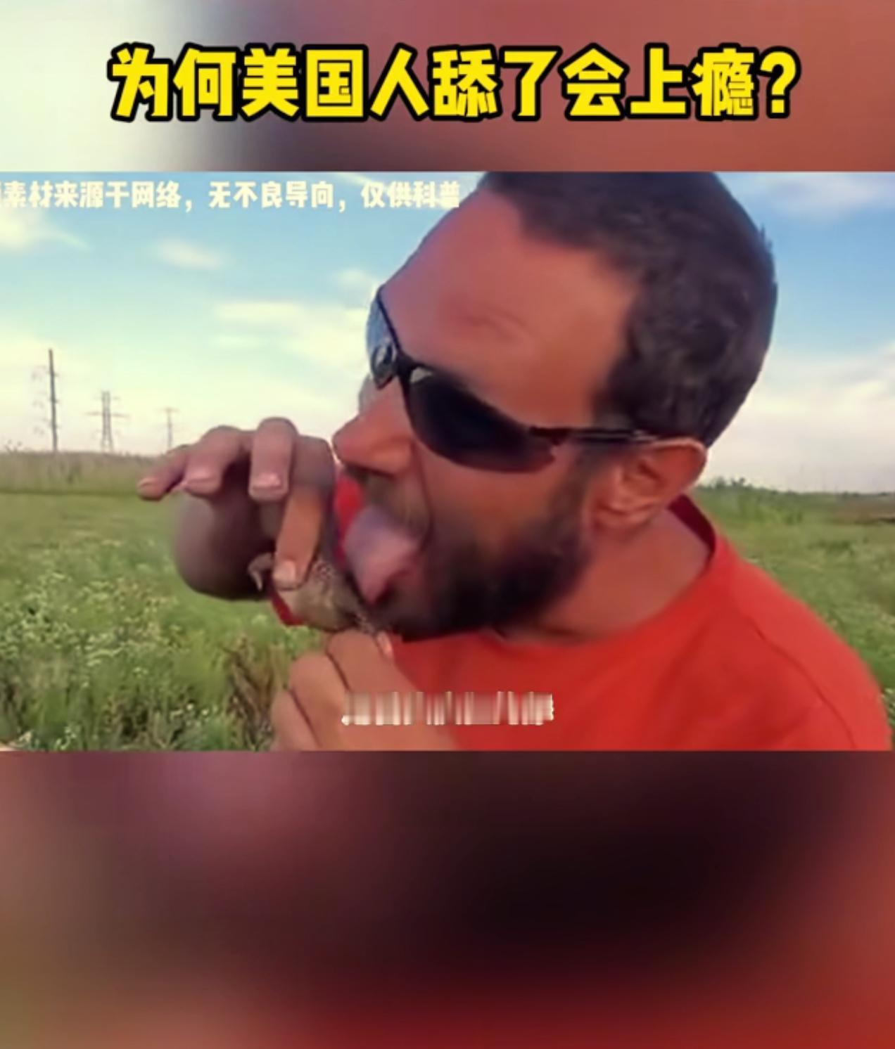 不要去公园里舔蟾蜍！
        你敢相信，这是美国国家公园管理局的发文警告