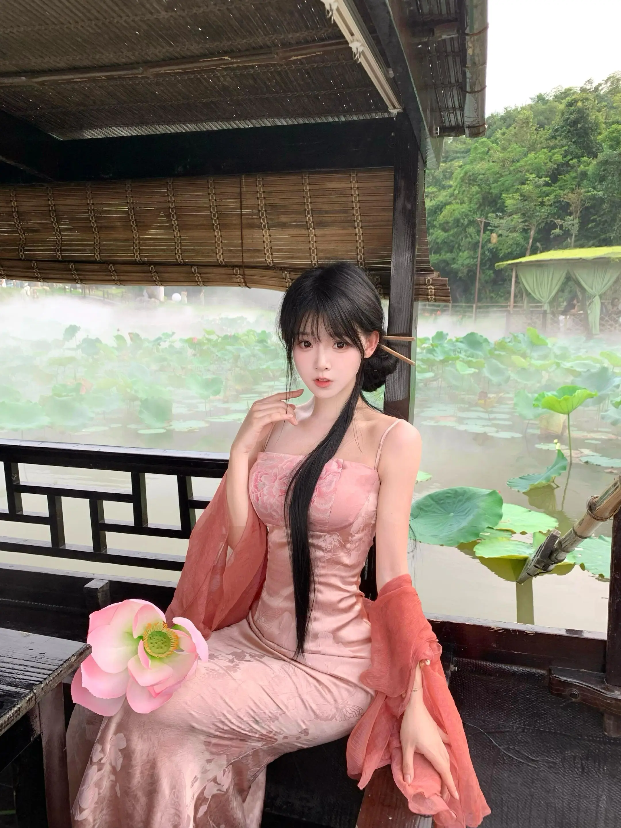 🪷🪷🪷。