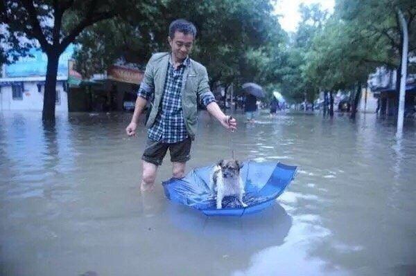 愿每个生命都能被这个世间温柔以待 ！