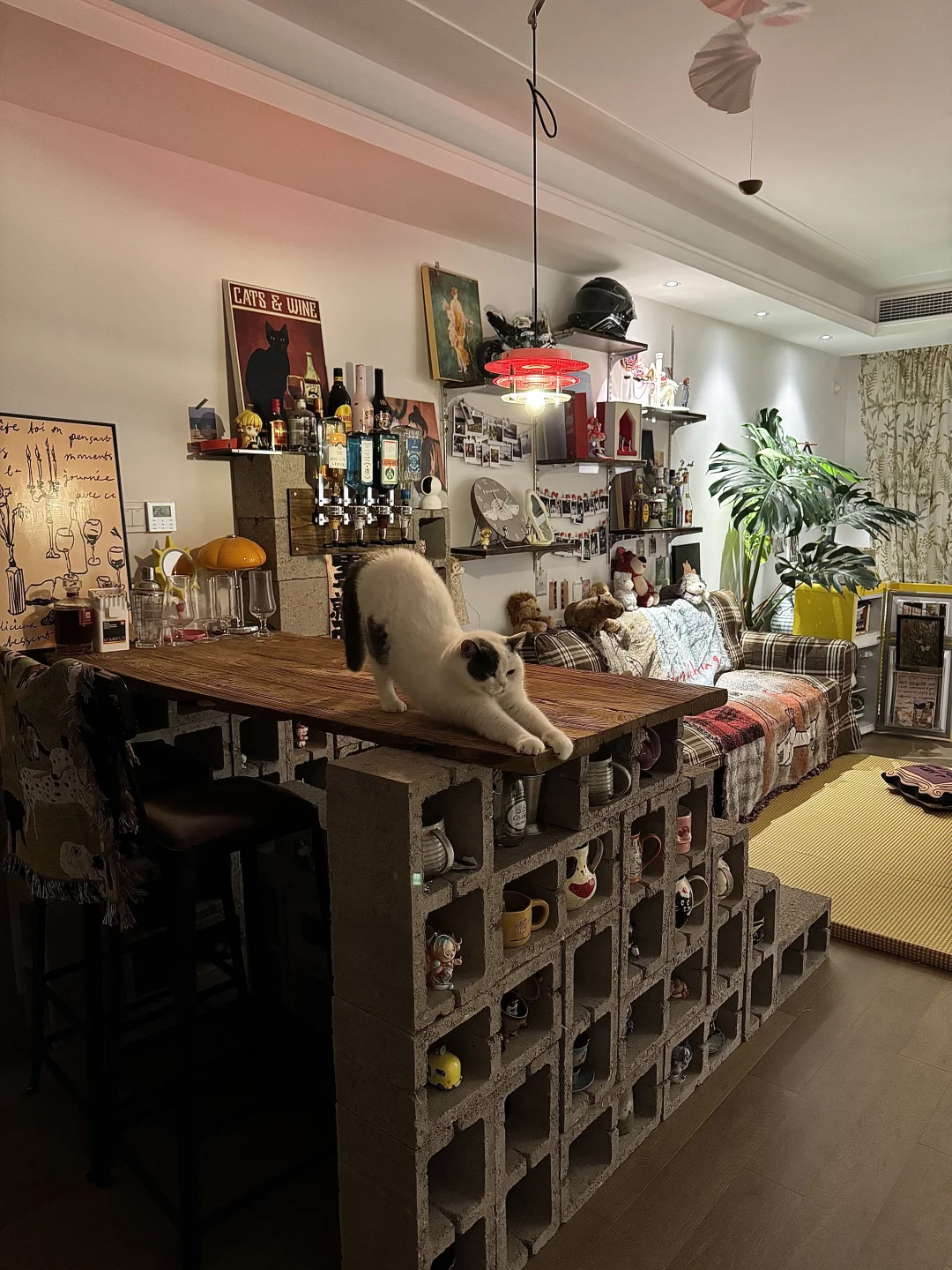 长大以后，出来租房才感受到自己做主的自由