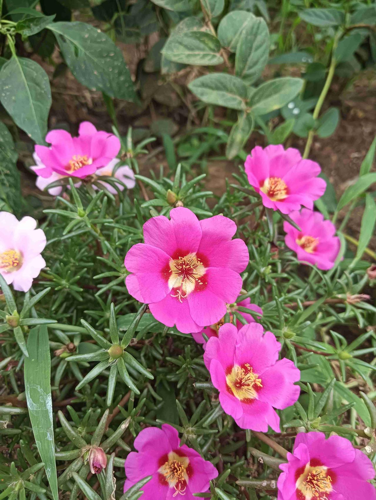 我的今日状态：😁轻松愉快
我这里的天气：☀️晴天