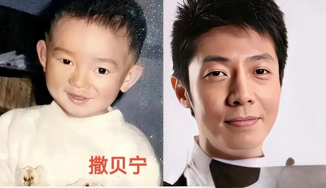 央视主持人今昔对比太戳人！撒贝宁从调皮萌娃变“梗王”，康辉从尖脸少年成沉稳国脸，