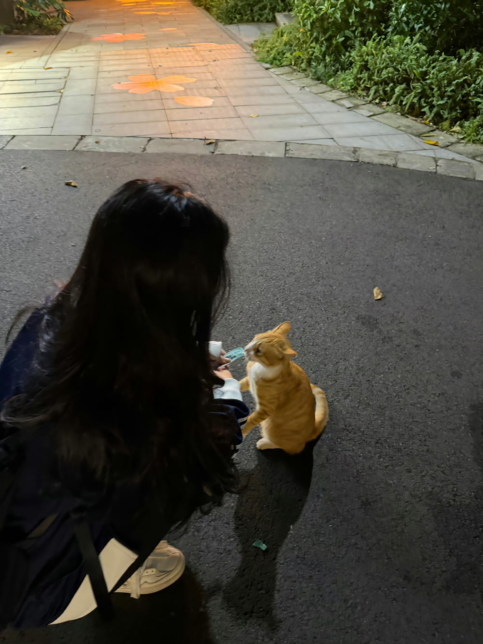 让我看穿你的眼睛还有你的心 