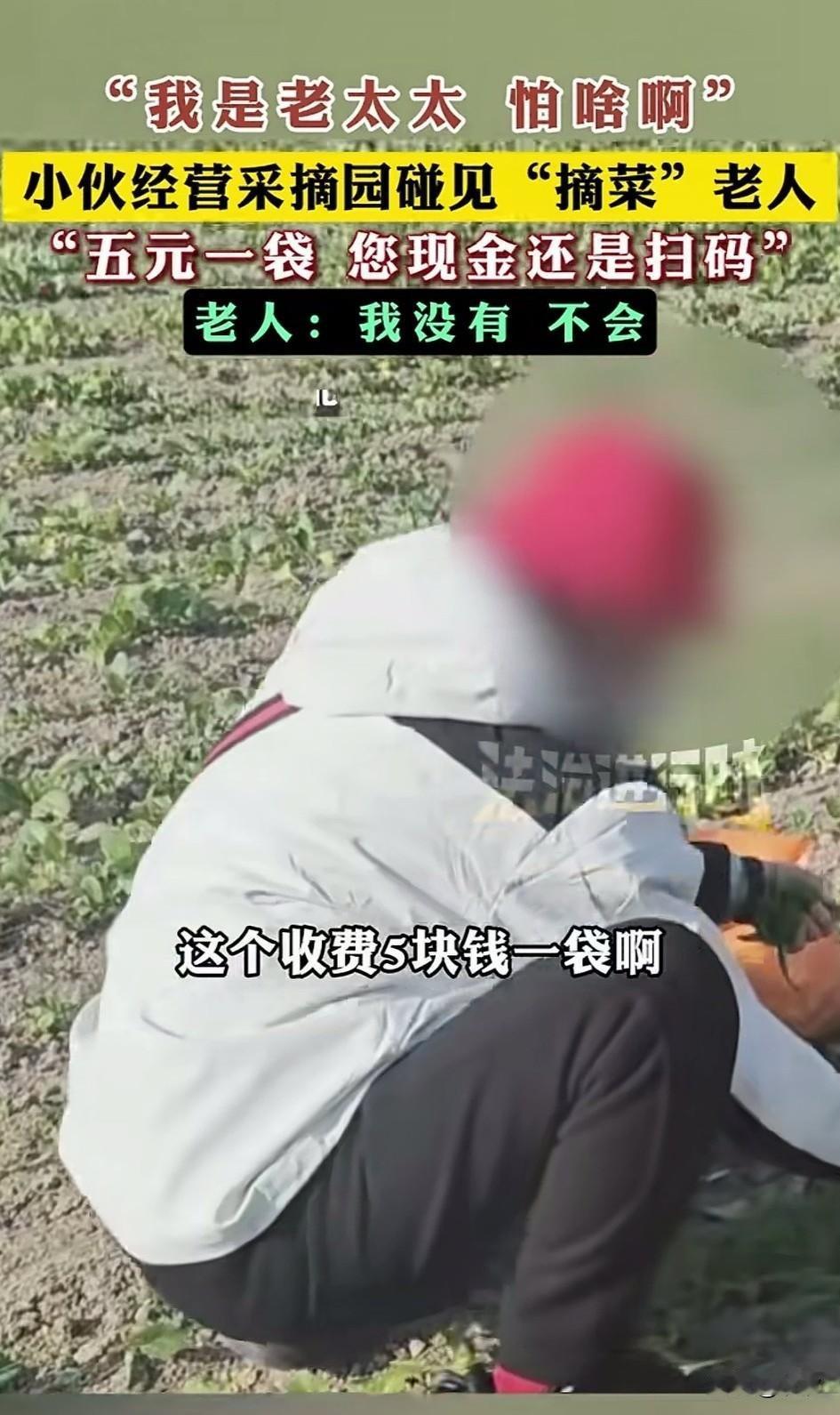 现在的老太太还真是无法无天，
一男子经营着采摘园，
生活也生活的悠闲，
突然一天