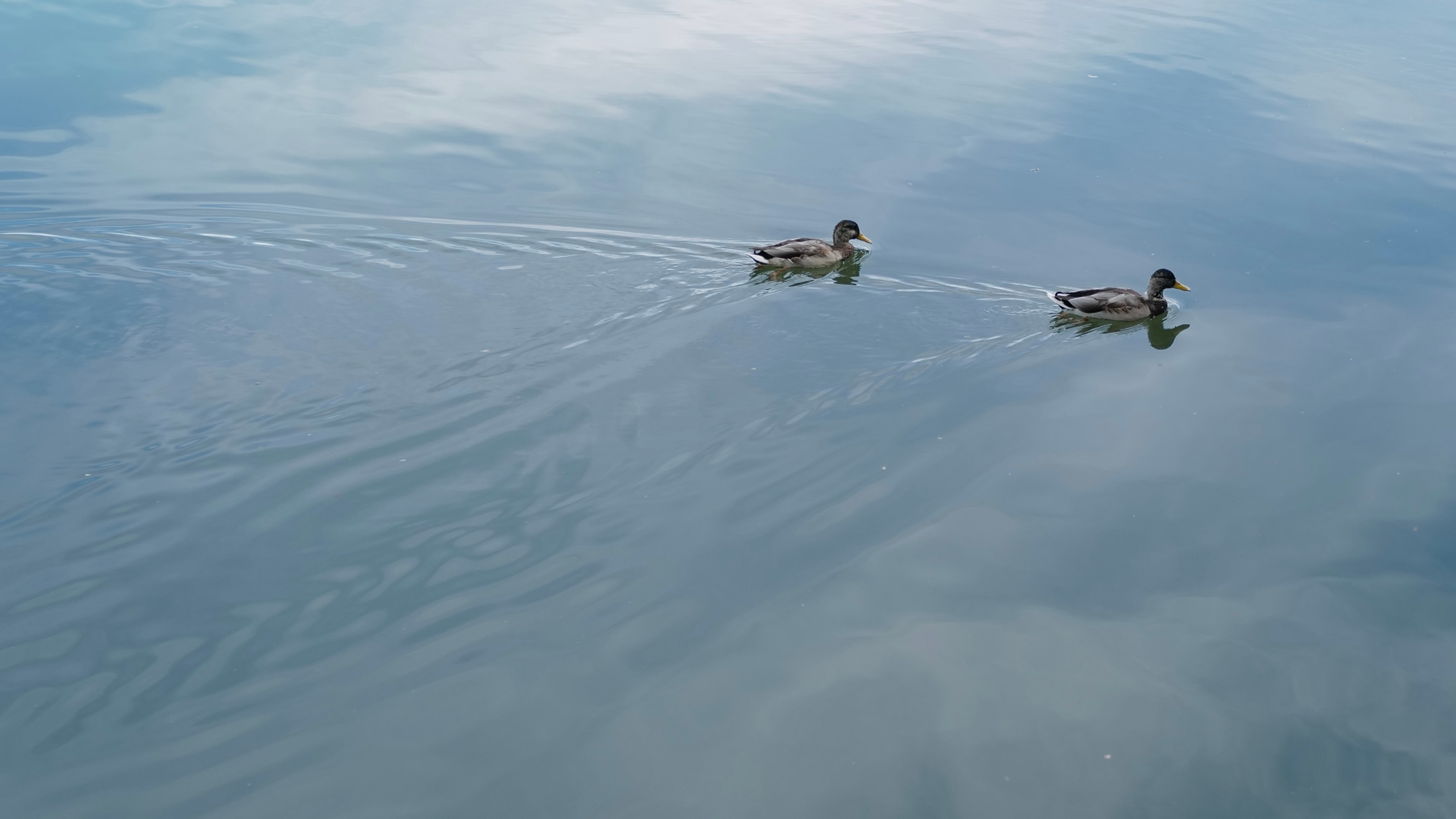 秋光如翡如碧珠 ​​​