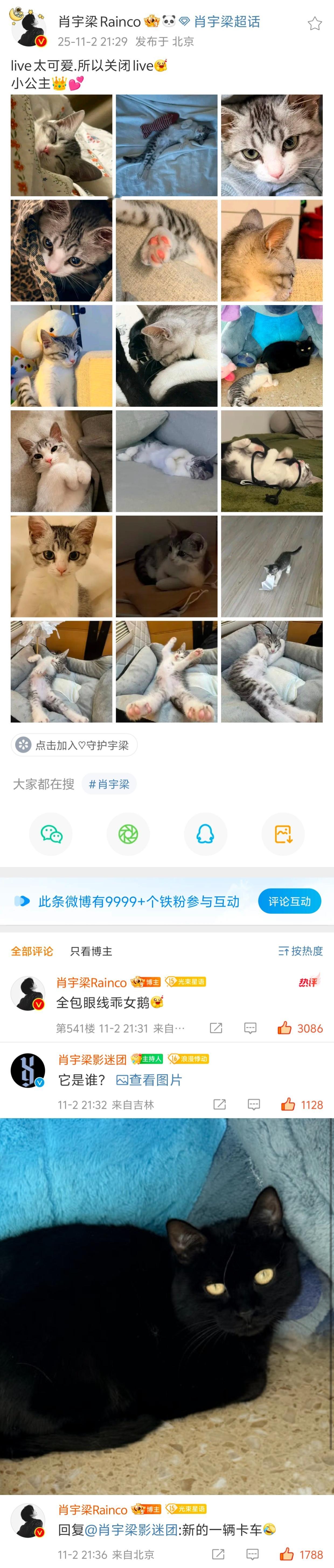 𝟐𝟎𝟐𝟓.𝟏𝟏.𝟎𝟐live太可爱.所以关闭live小公主👑?