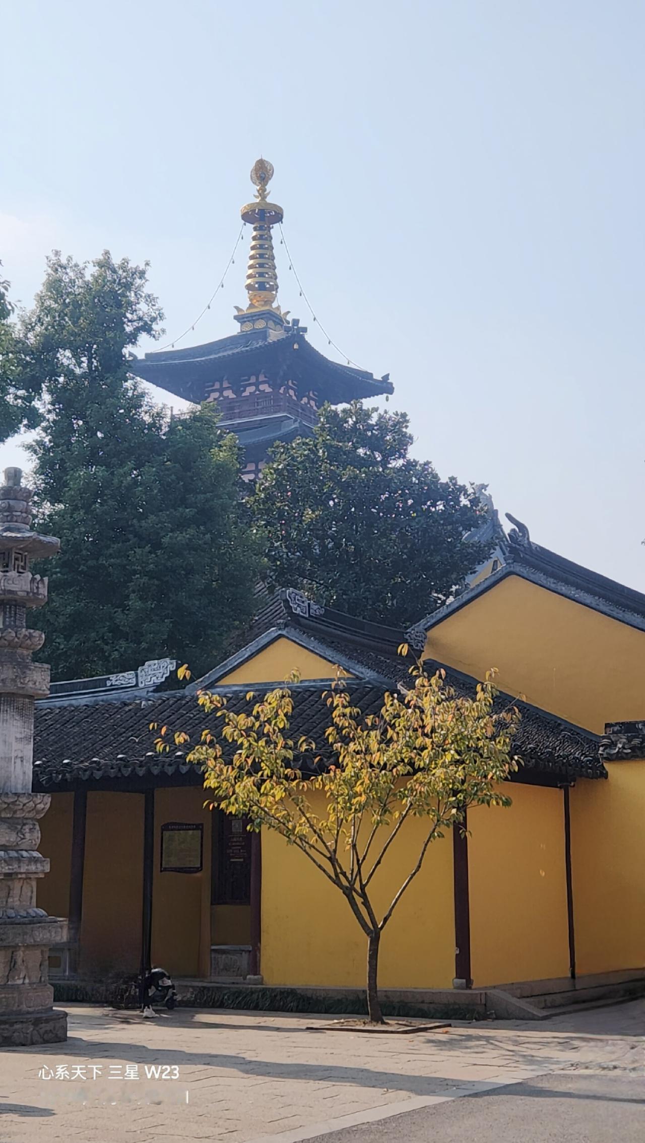 分享一下你随手拍下的小黄花苏州行不枉此生。[呲牙]