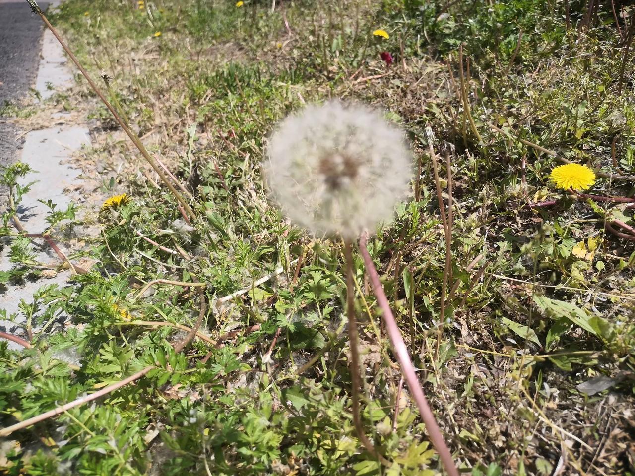 昨天有点收不住了，卷了十一篇小短文。蓝天白云可以写，但是本人没有那么细腻的文笔。