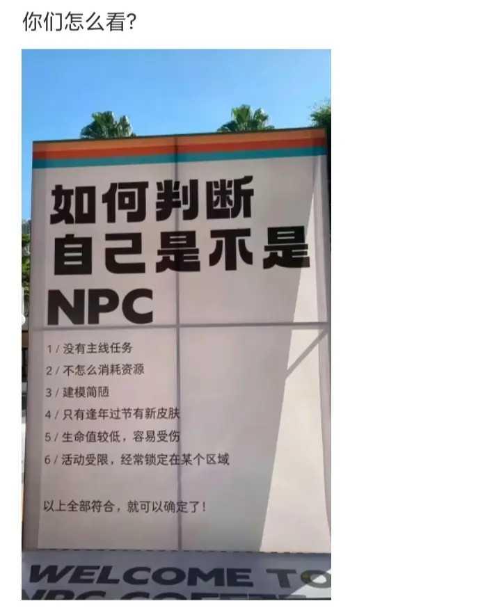 如何判断自己是不是NPC