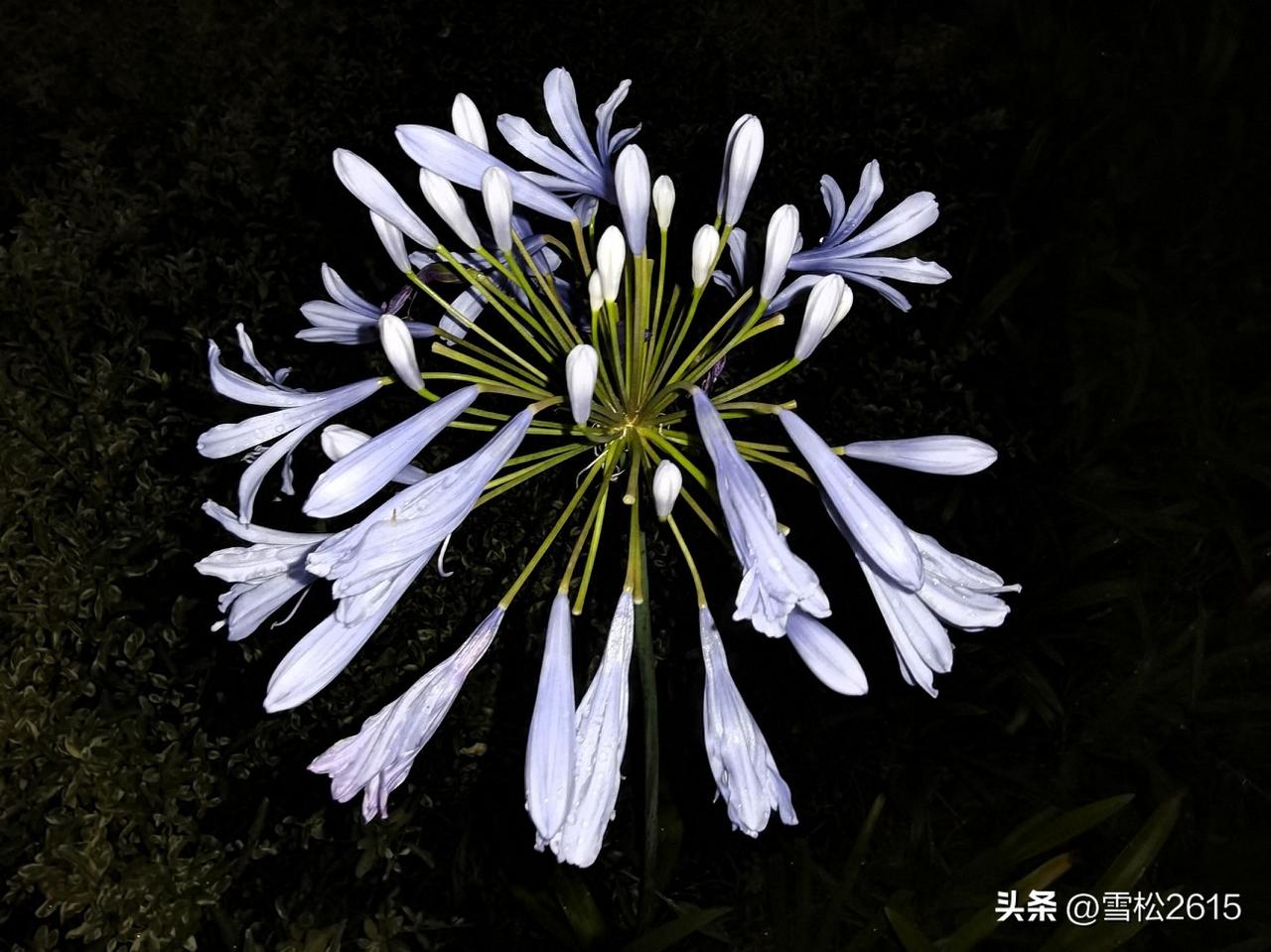 退休族必看！养老金连续22年上涨已定，只差最后一道官宣

关于大家最关心的202