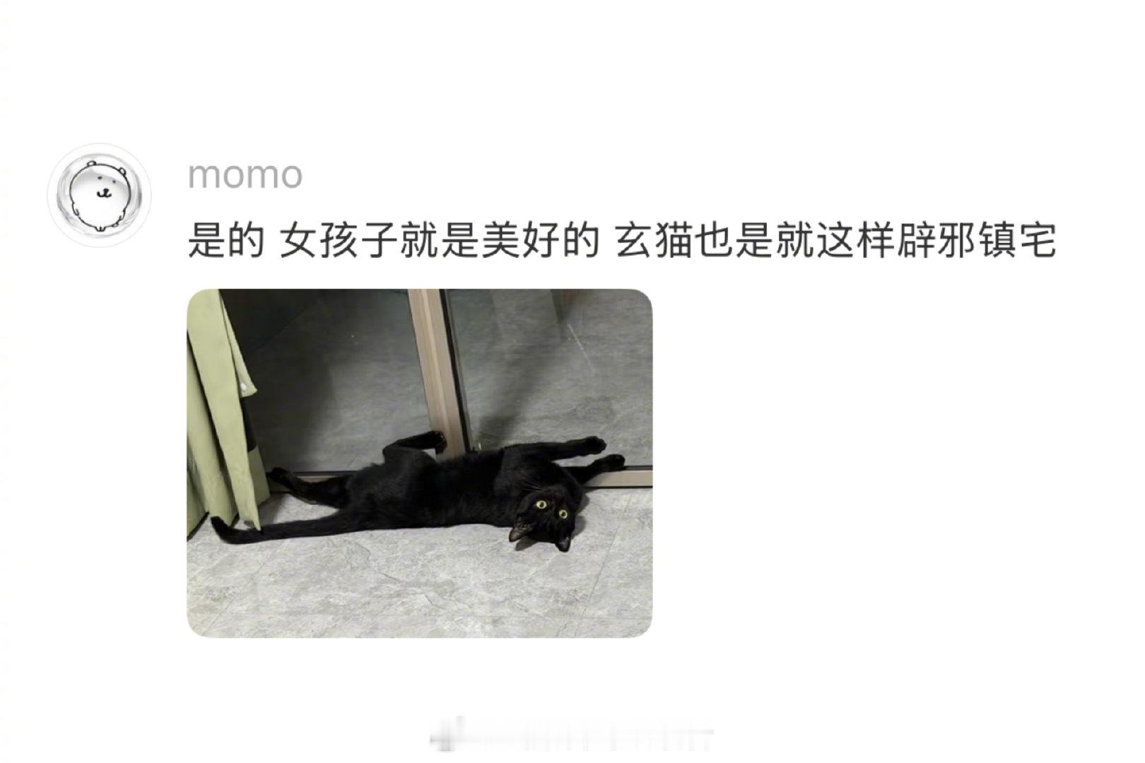 有人厕所写广告，有人把它涂小猫 （