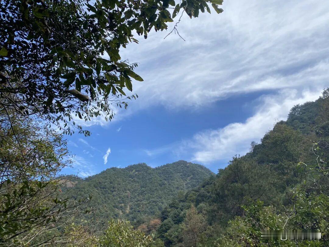 大奇山——桐庐大奇山位于中国浙江省杭州市桐庐县境内，是一座以奇峰、怪石、幽谷而闻