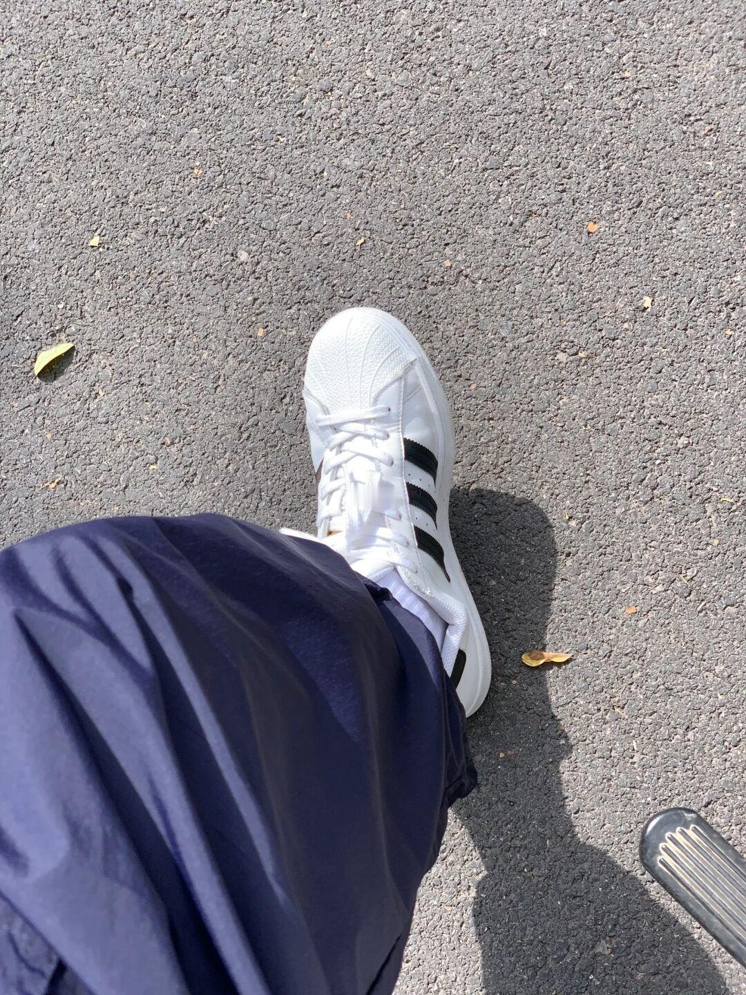 喜欢贝壳头