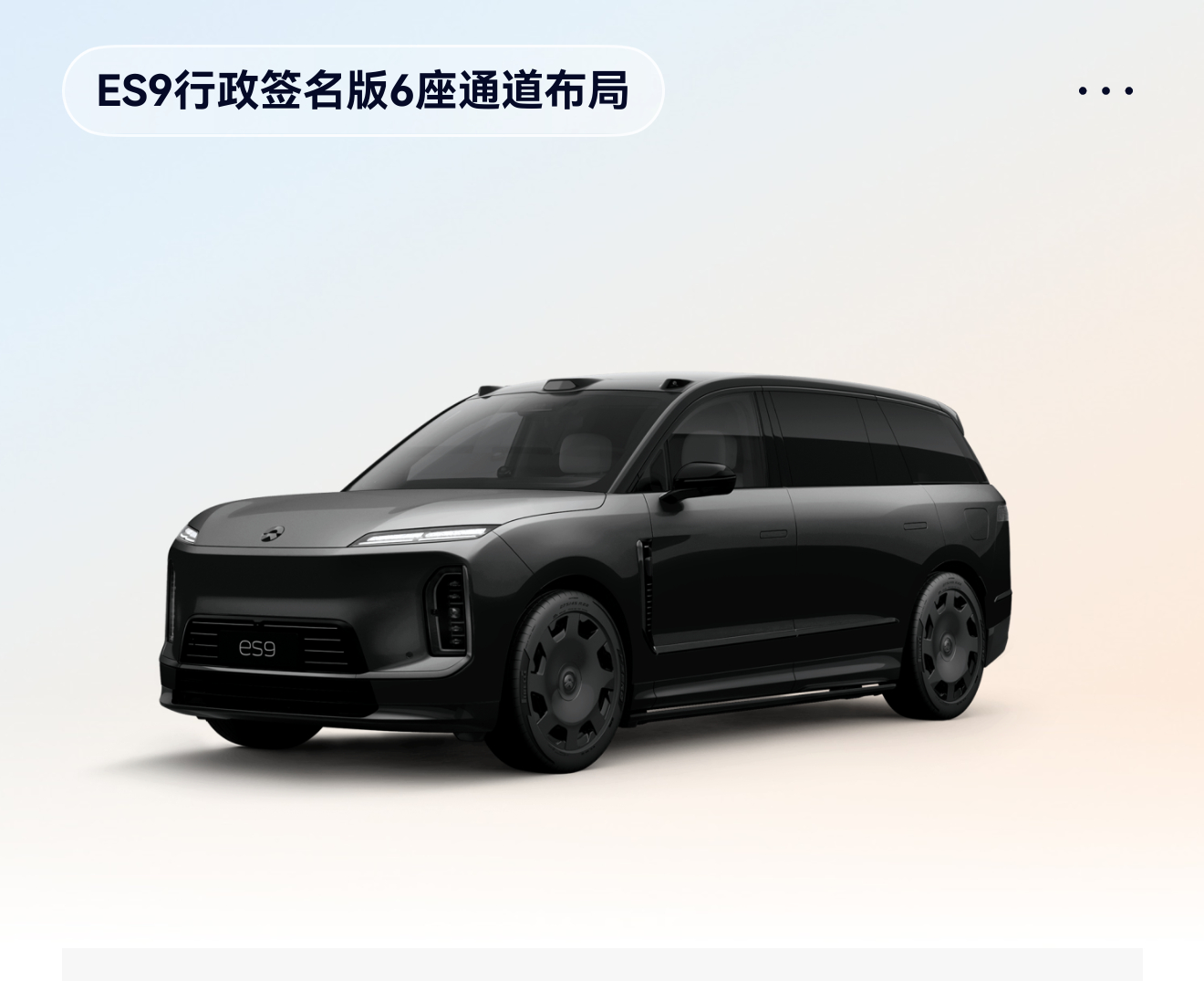 还是中间过道和黑武士版好。中岛版很好，但是过道版更适合当保姆车来用。徘徊在MPV