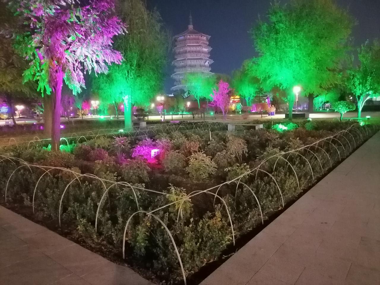竹条扎实，
为花草撑起一个家，
冬天又要重新来一遍！
木塔千年，
岁月悠悠，
人