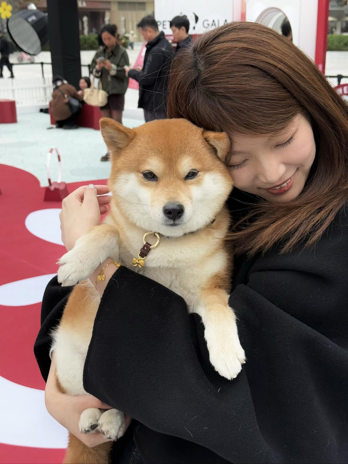 我真的特别爱你ＴｖＴ~