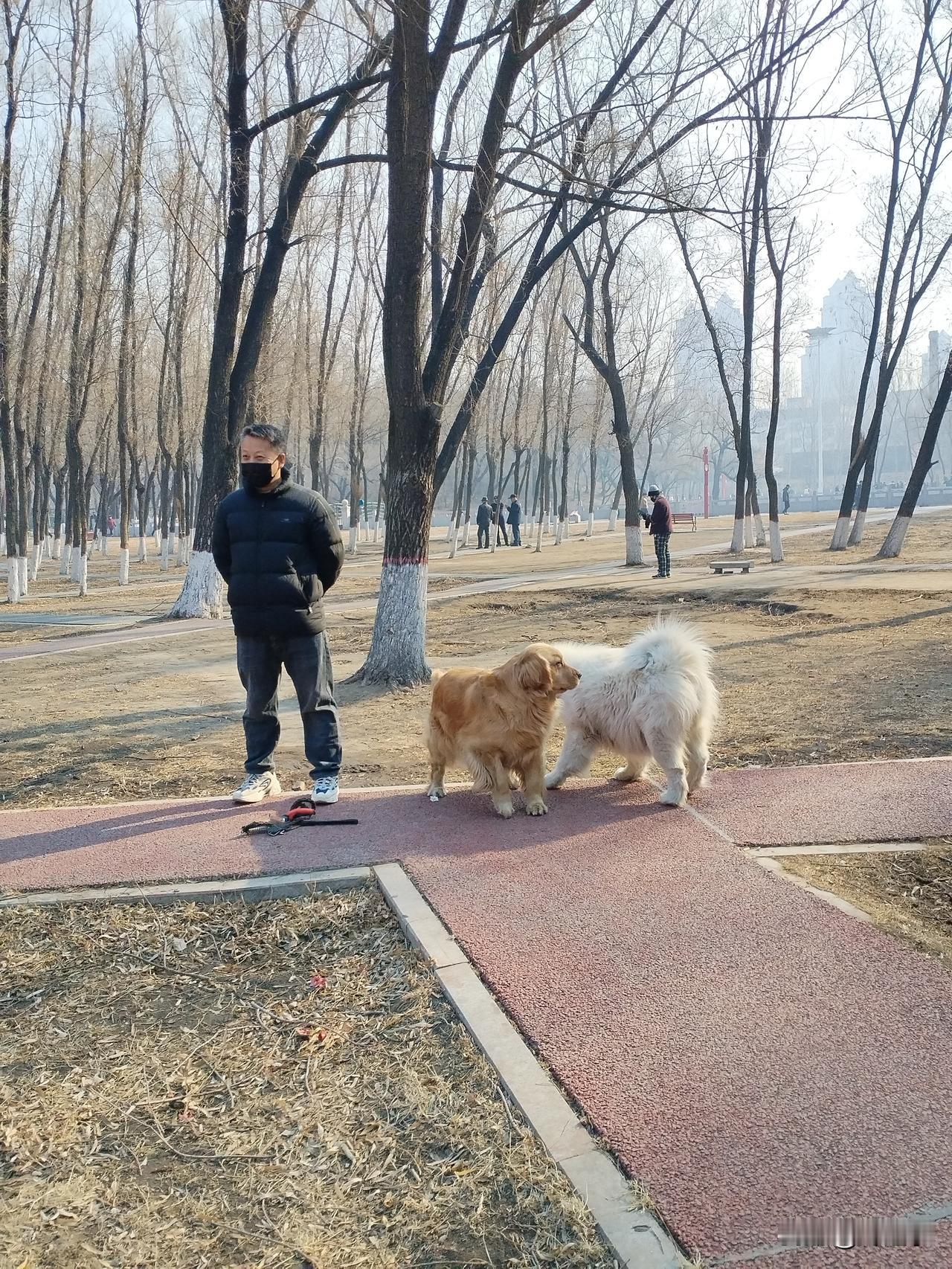 首先，我不赞同伴侣动物这一提法。什么时候，动物居然会成为人的伴侣？居然要把这一提