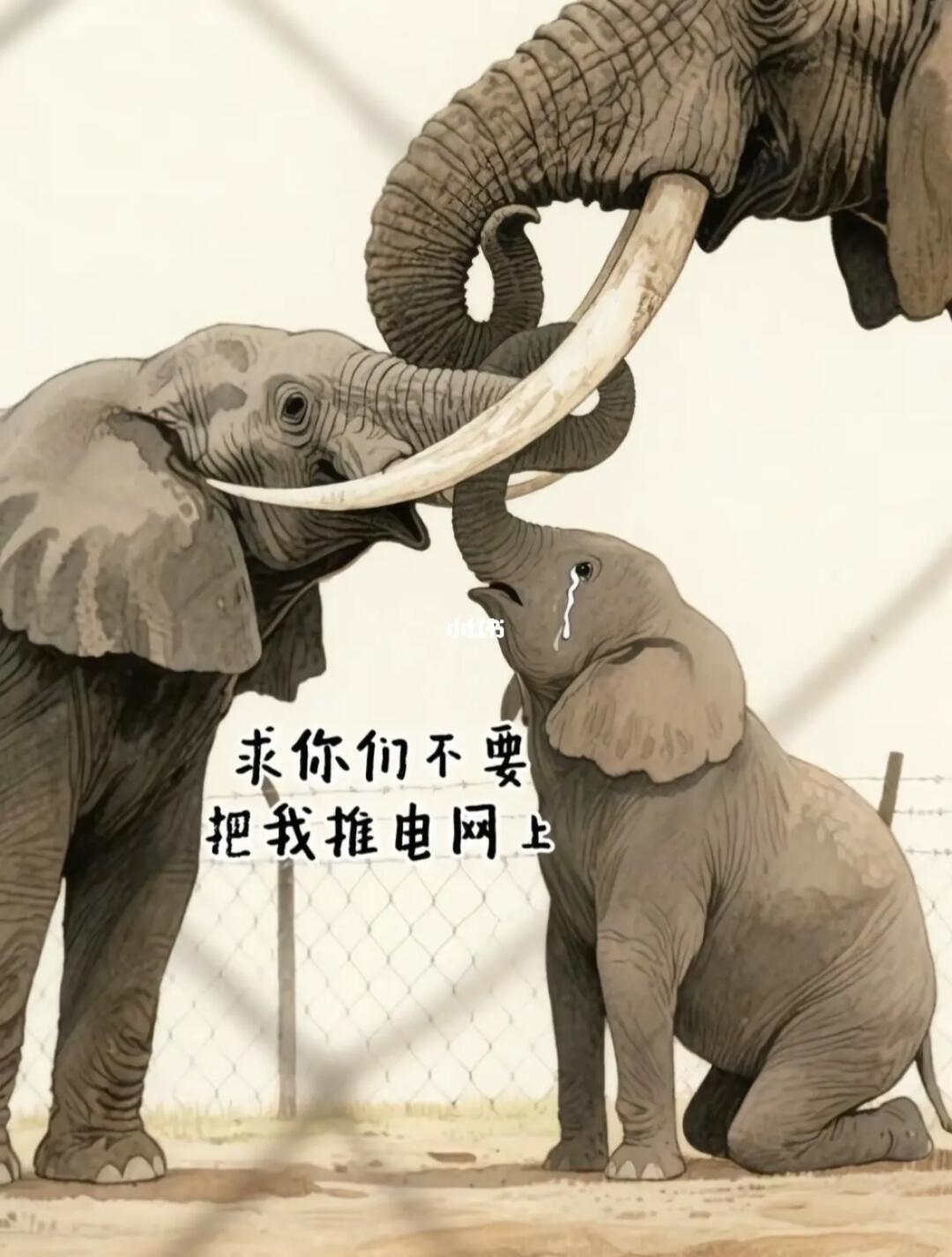 看的好让人生气