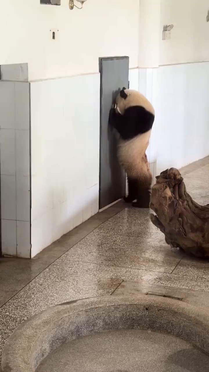 你别吵了，烦死了。
