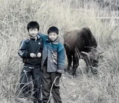 李青与李陶兄弟家境贫寒，父亲残疾，全家重担由母亲承担。

李青学习优异，曾想辍学