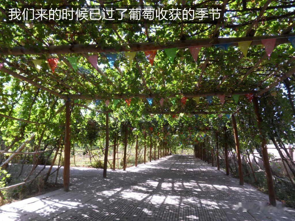 【新疆游记（二）】新疆以其辽阔的地域，雪山，草原，戈壁等丰富的自然景观，和浓郁的