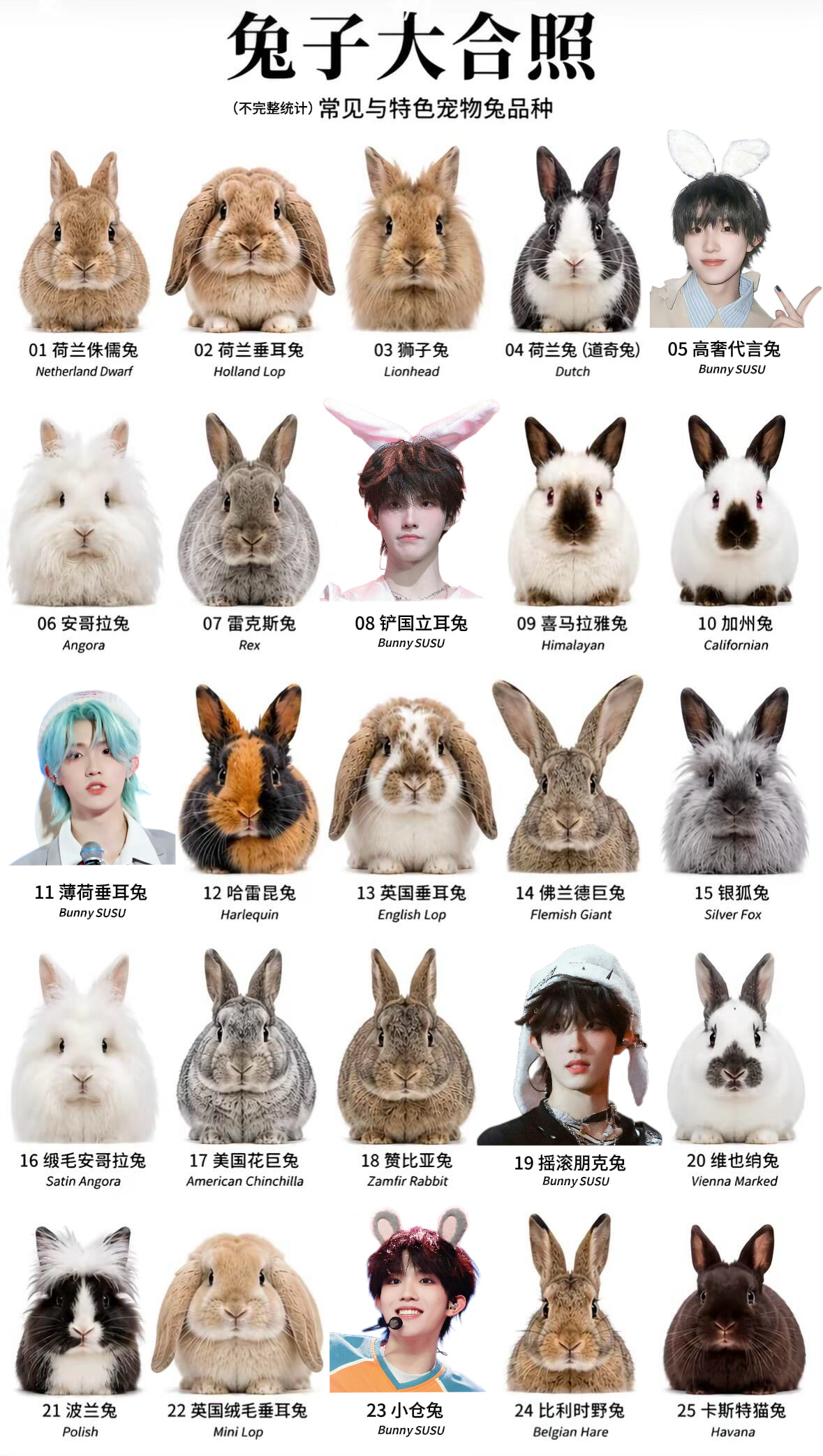 【10189】不知道你喜欢哪只兔子🤔 