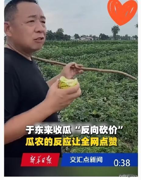 格局拉满！于东来下乡亲自考察甜瓜销路，农户大批量拿货主动让利降价，他却执意抬高收