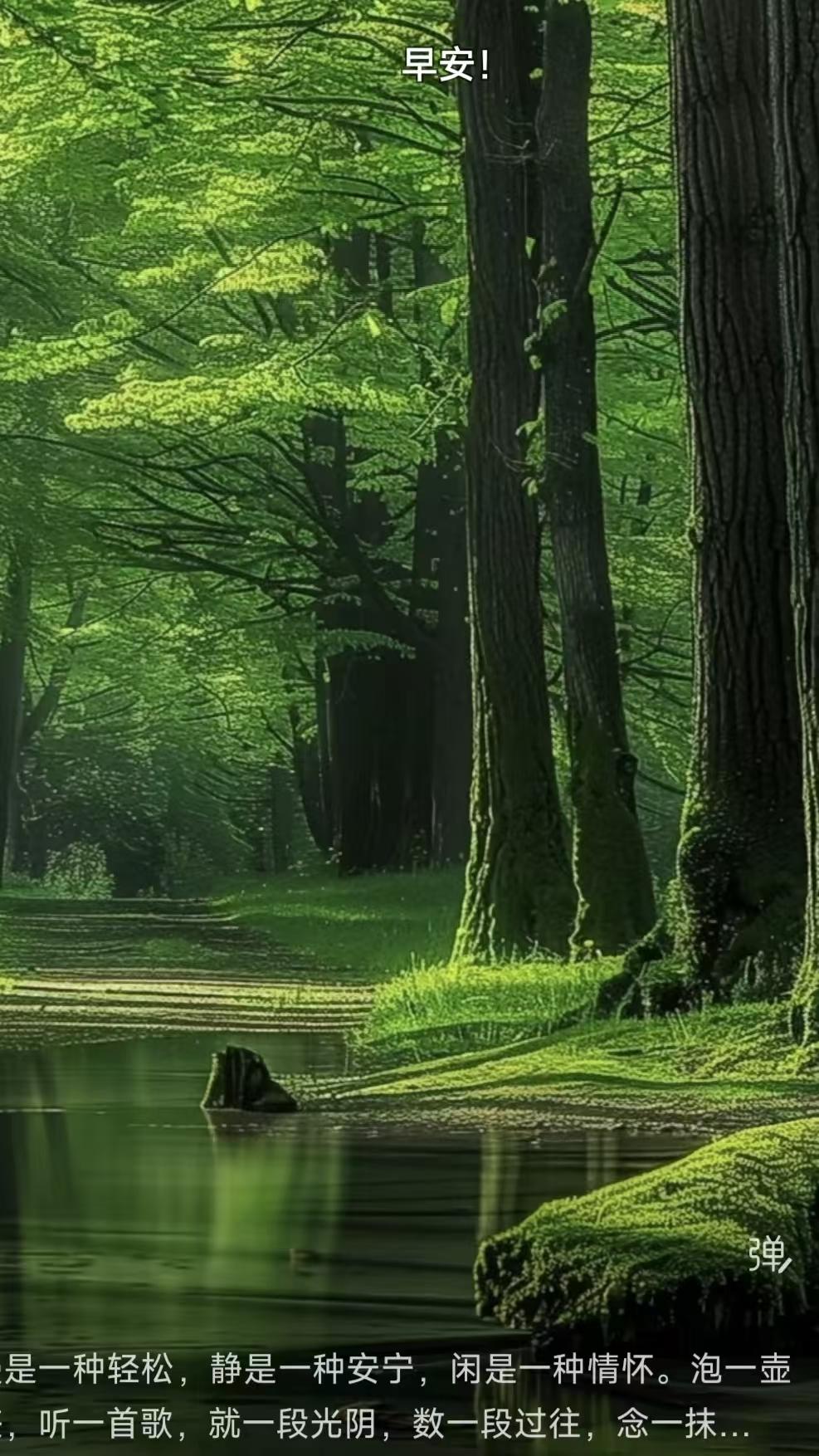 天净沙·闲居
轻安慢享清宁，
闲怀一盏茶馨，
静听歌吟旧影。
心归尘定，
悠然放