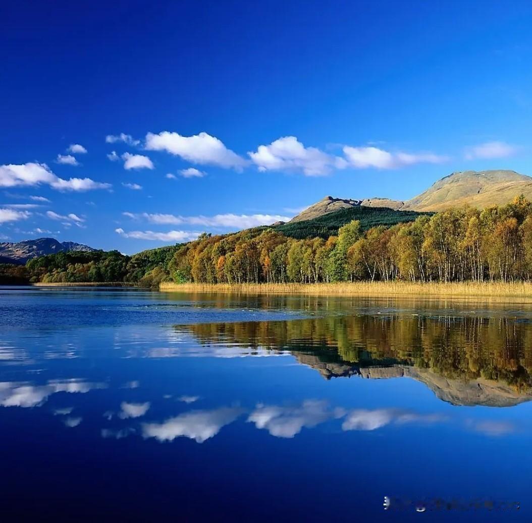 今儿到此时仍没更新，只怪太忙太紧张想休息会，放松之中忘记打卡写头条。

毕竟难得