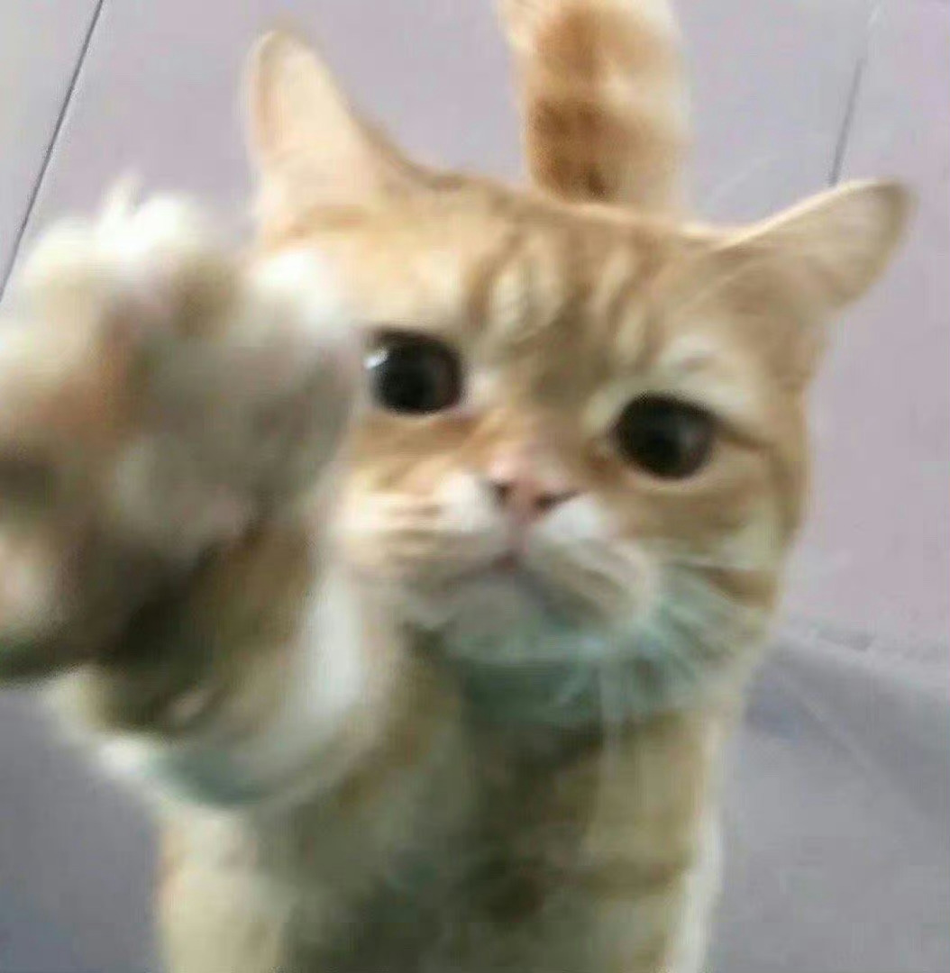招财猫：让我摸摸，你命里有财