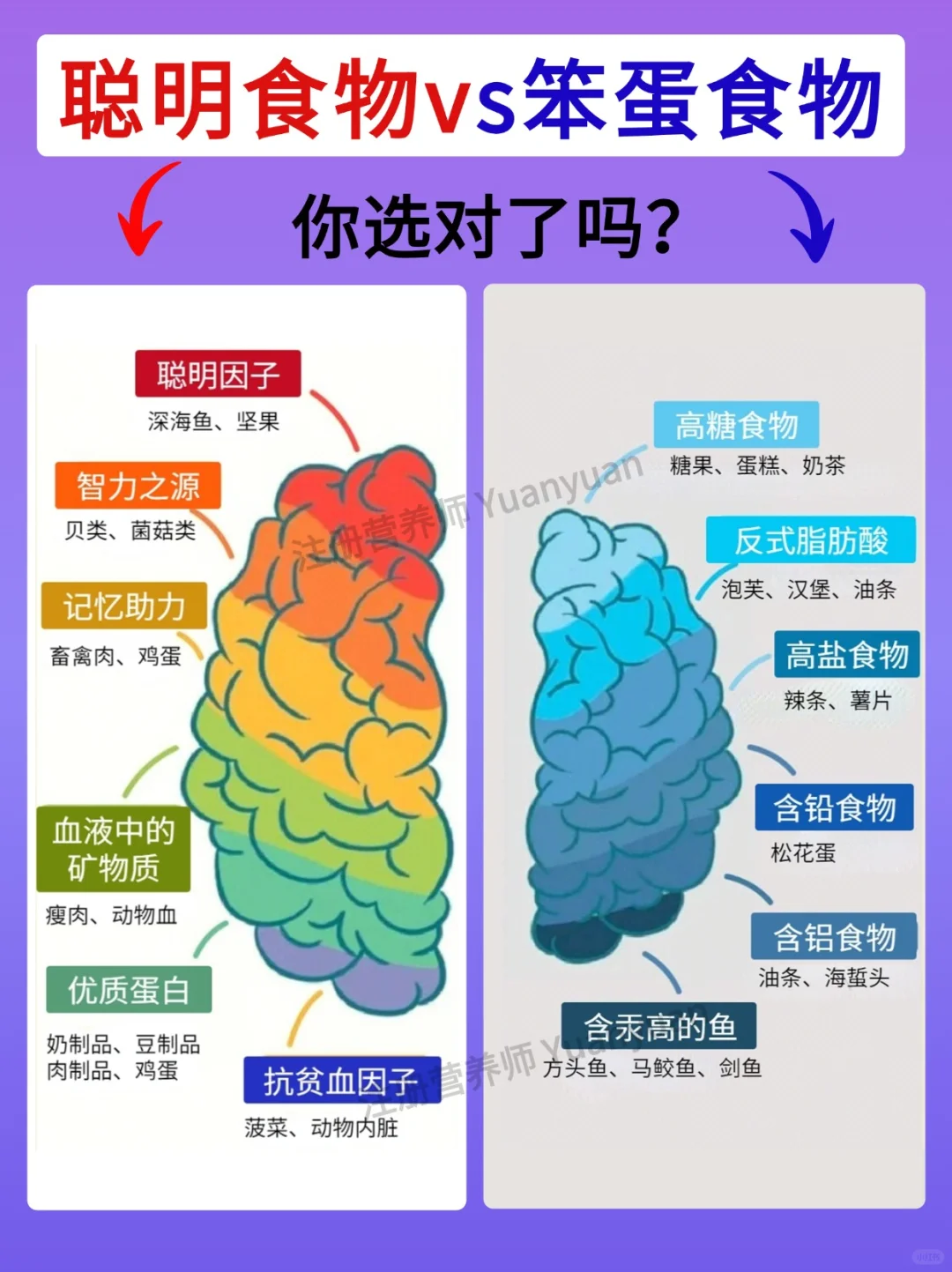 想脑袋更灵光？多吃聪明食物 少吃笨蛋食物