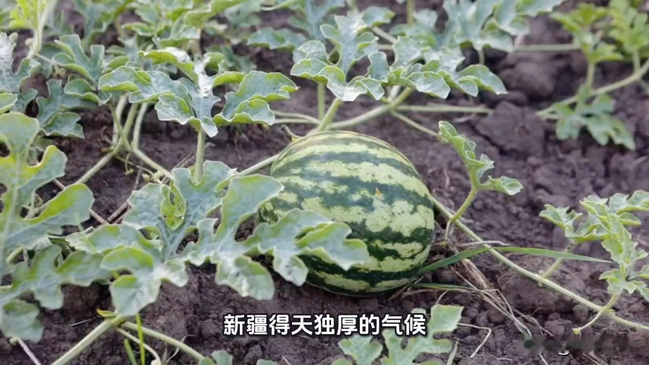在街上碰到明星，你会围观吗我不会围观，因为我自己就是明星