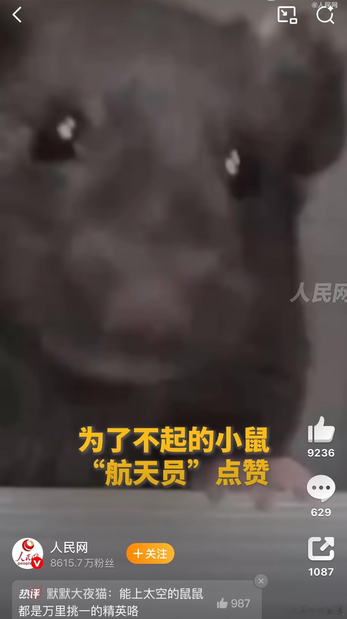 鼠鼠我啊要上太空了哈哈以前害怕小老鼠现在觉得🐀竟然能这么可爱 ​​​