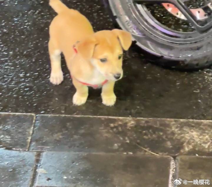 还有一条～刚下班吃完饭 你们中午吃的啥？ deepseek ​​​
